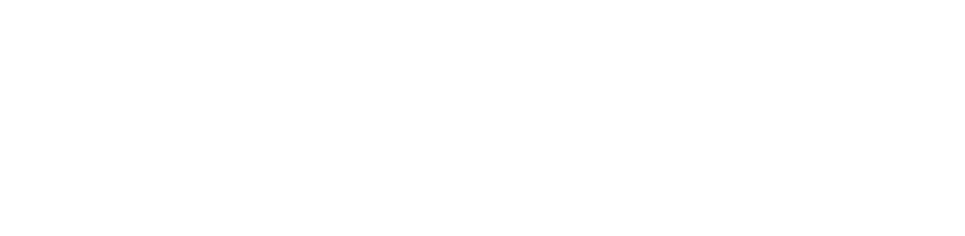 MagnityLogo_White